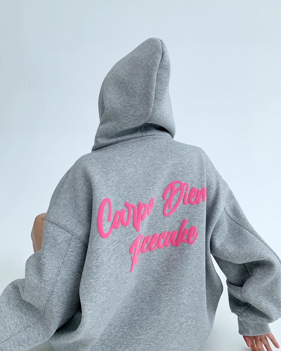 Direct back view of heather gray oversized Carpe Diem hoodie with large hot pink cursive graphic print