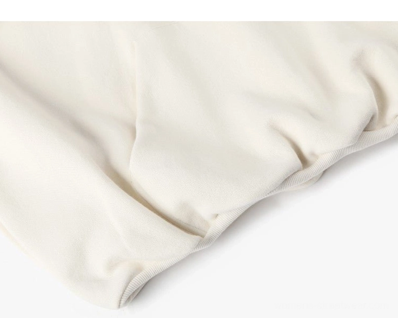 Heavyweight oversized cropped hoodie gallery image featuring fleece lining and relaxed East Asian streetwear styling
